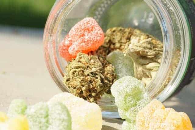 CBD gummies arranged in a small bowl on a clean editorial surface.