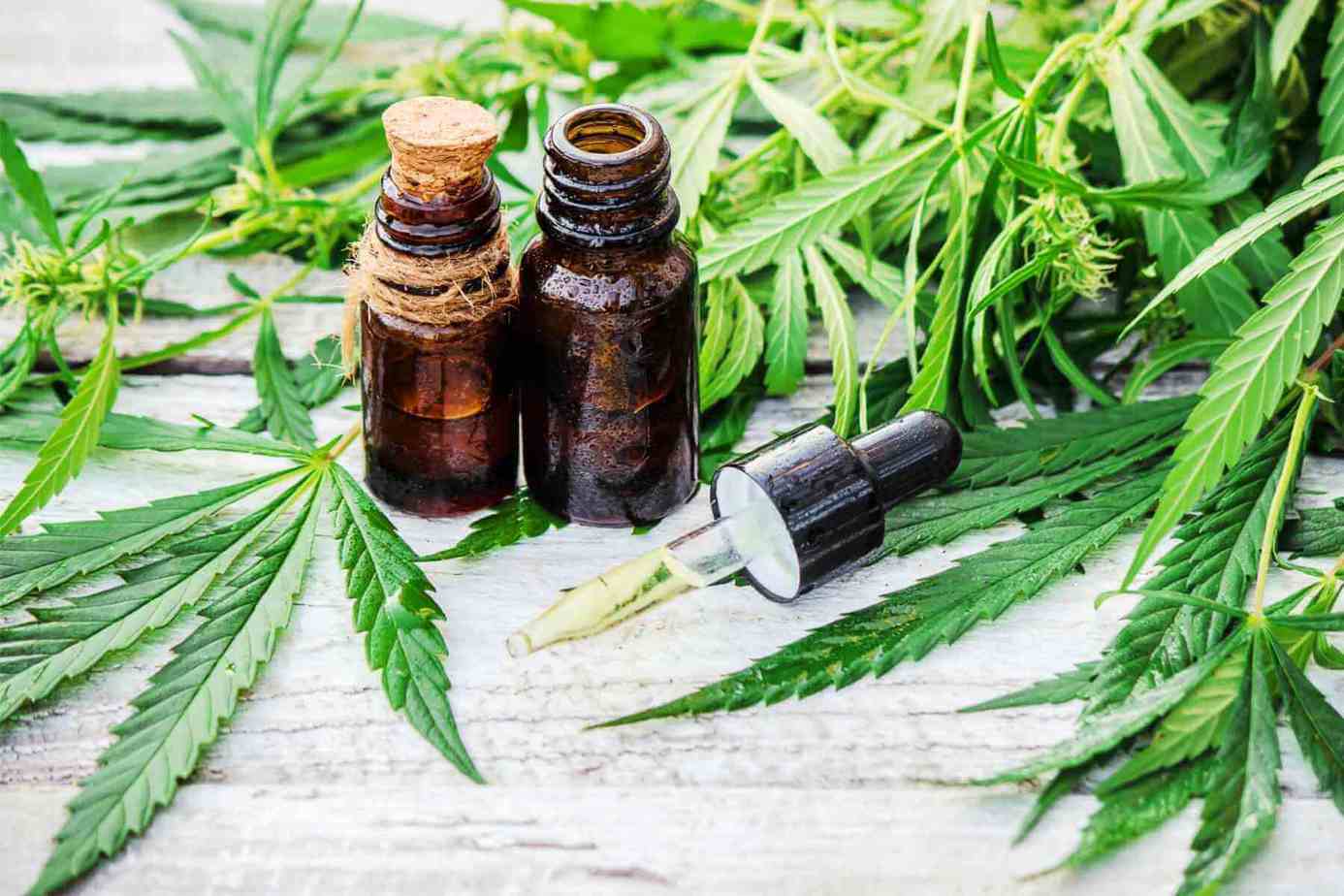 Productos de CBD fotografiados en una escena editorial limpia.